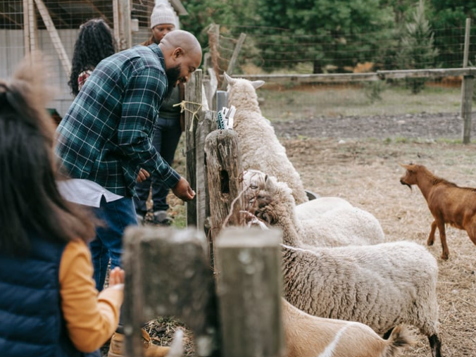 Farm Stays and Experiential Rentals