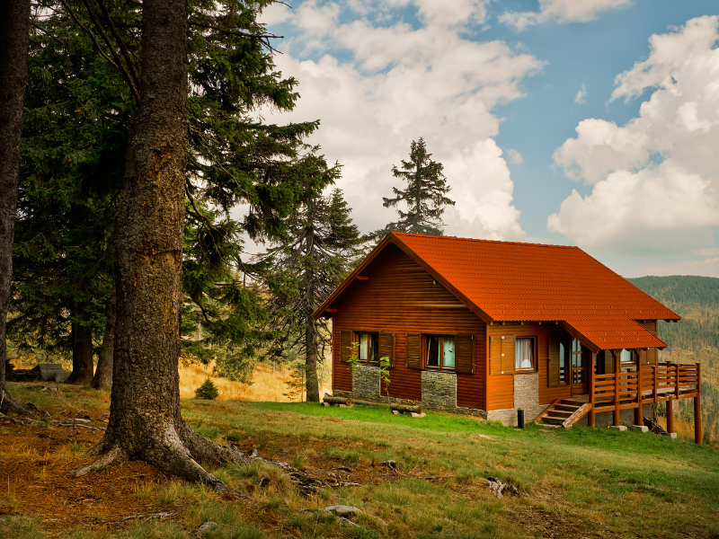 cozy cabin