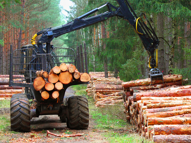 timber harversting