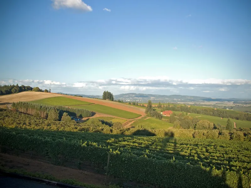 Oregon's Willamette Valley
