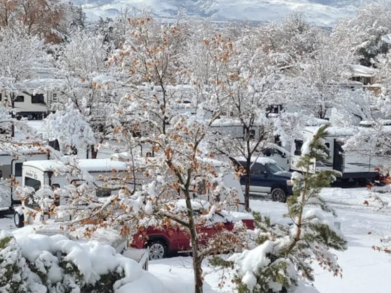 Real Claims That Show Why Insurance Matters