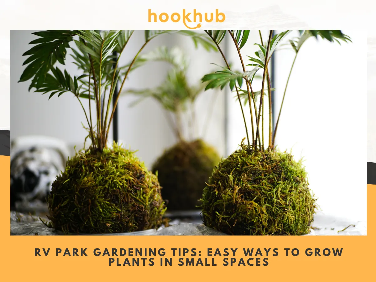 RV Park Gardening Tips Easy Ways to Grow Plants in Small Spaces