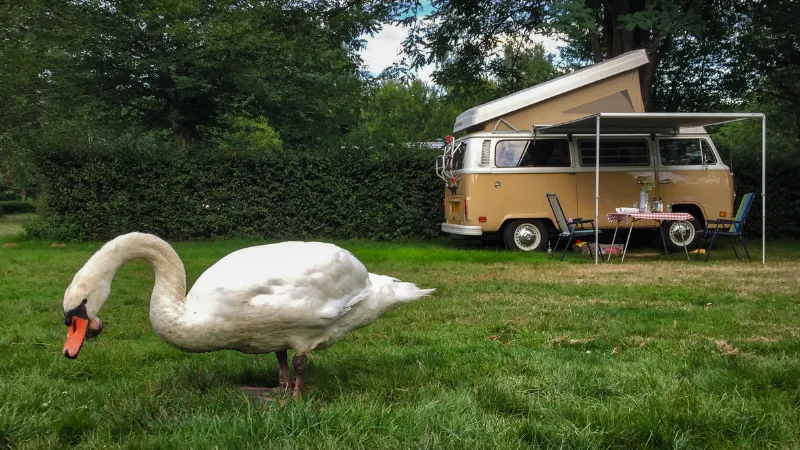 Wildlife Watching Tips Long-Term RV Parks