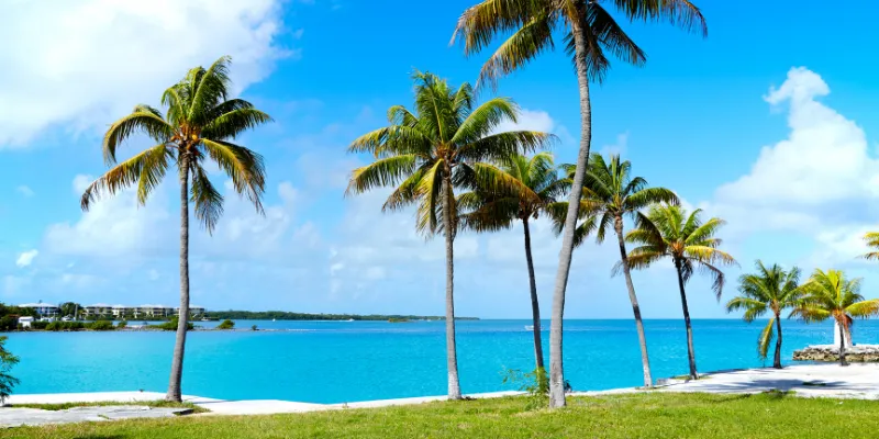 Florida Keys & Everglades_ Tropical Paradise