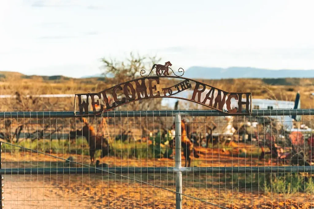 hookhub-high-desert-ranch-petting-farm-animals-cornville-arizona (4)