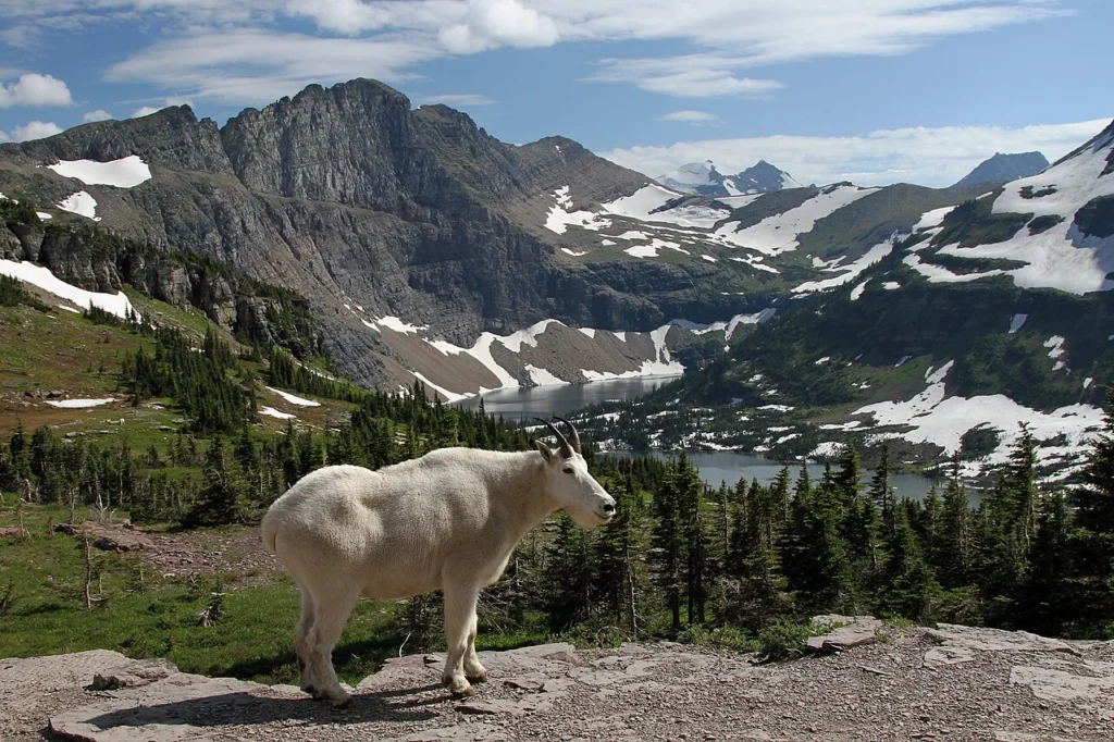 route 6 glacier