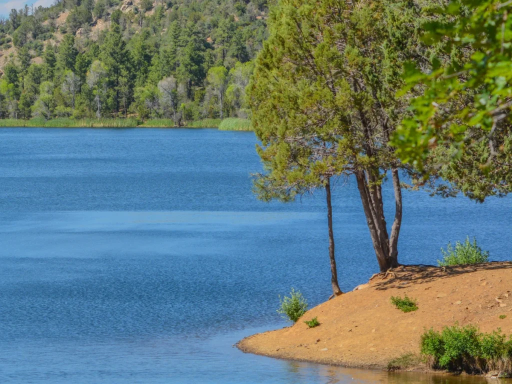 prescott