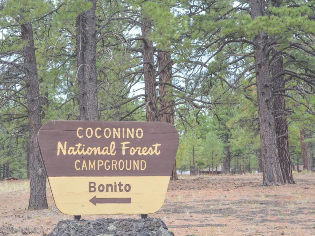 Coconino National Forest campgrounds