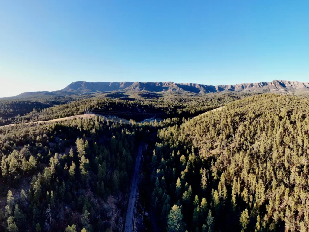 Mogollon Rim