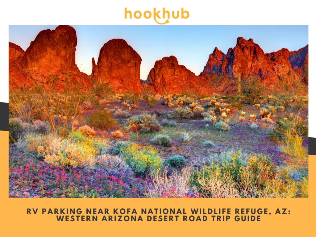 RV Parking Near Kofa National Wildlife Refuge, AZ-Western Arizona Desert Road Trip Guide